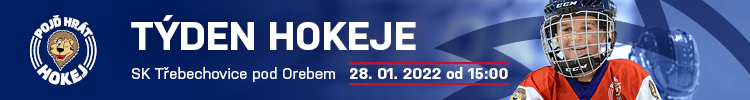 Týden hokeje